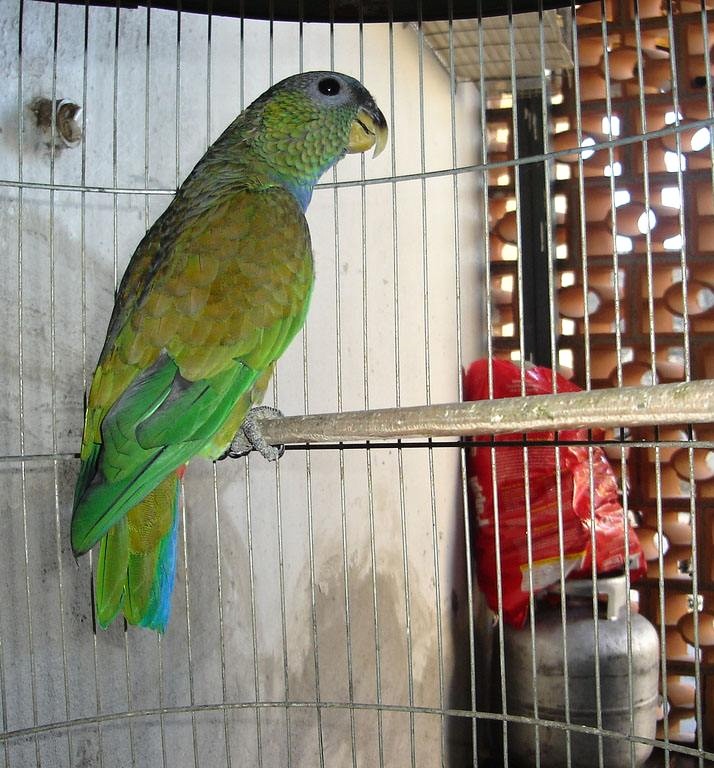Foto 5